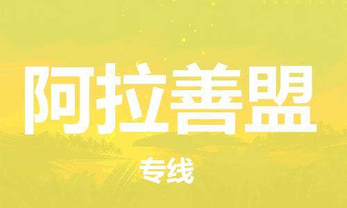 邯鄲到阿拉善盟物流公司-邯鄲至阿拉善盟貨運(yùn)客戶至上定制服務(wù)|可靠、經(jīng)濟(jì)實(shí)惠