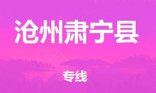 邯鄲到滄州肅寧縣物流公司-工程項目貨物運輸專線-實時跟近
